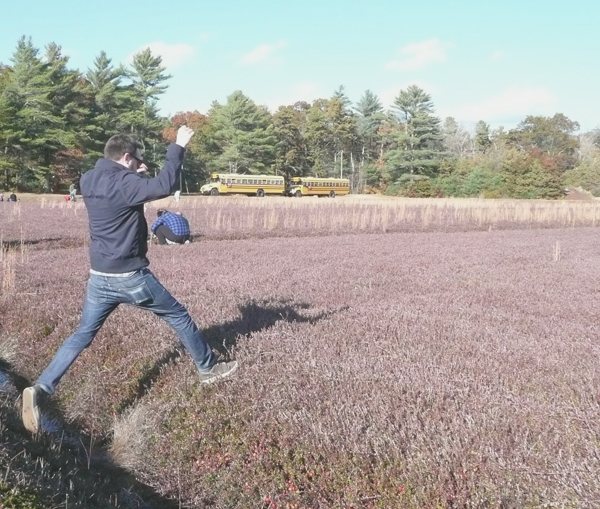 Picking Cranberries in Carver MA