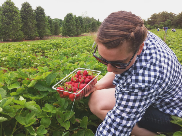 Strawberry Picking at Sweet Berry Farm