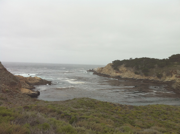 Point Lobos State Reserve Carmel, CA