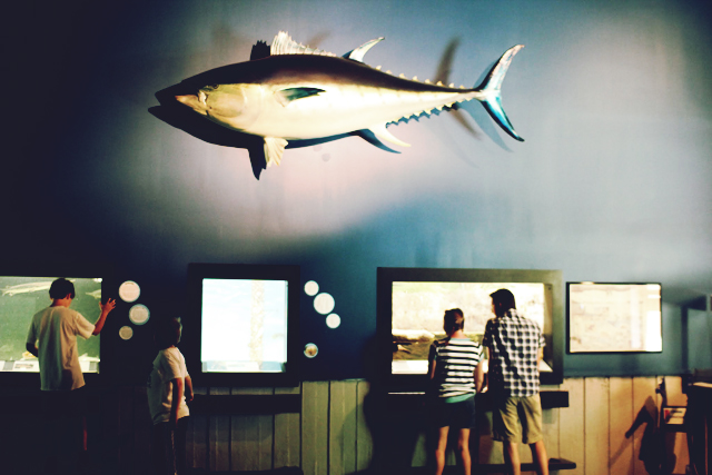 Savannah Marine Education Center and Aquarium