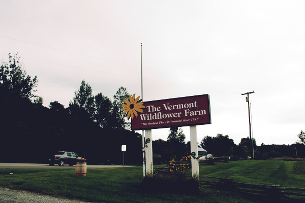 A visit to the Vermont Wildflower Farm