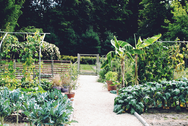 A walk through the summer gardens at Blithewold