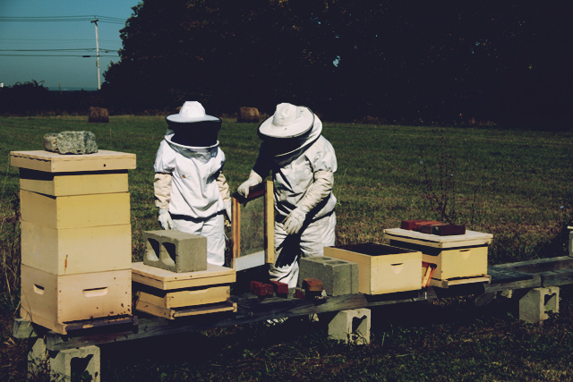 Learning about beekeeping at Prescott Farm Middletown RI