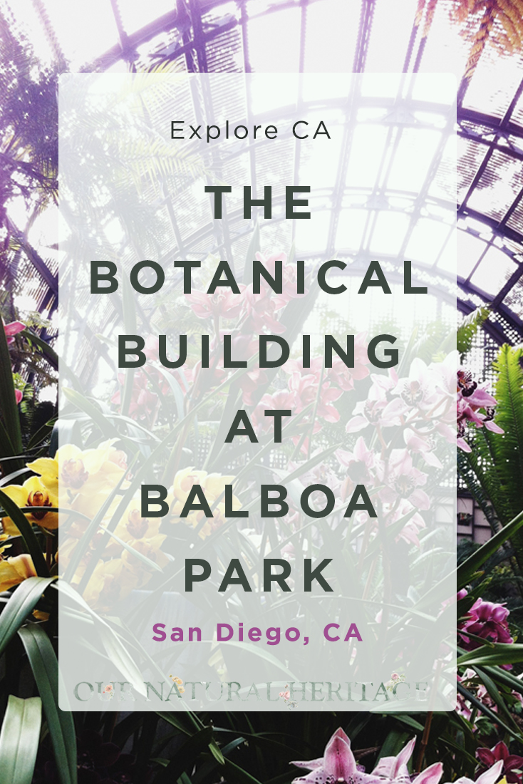 The Botanical Building at Balboa Park