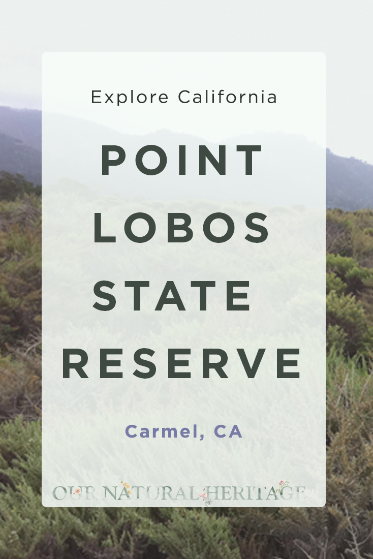 Point Lobos State Reserve Carmel, CA