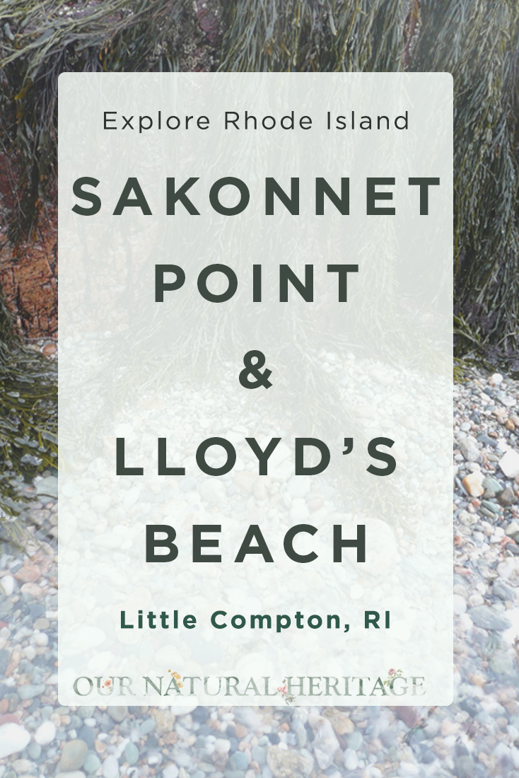 Lloyds Beach Sakonnet Point Little Compton RI