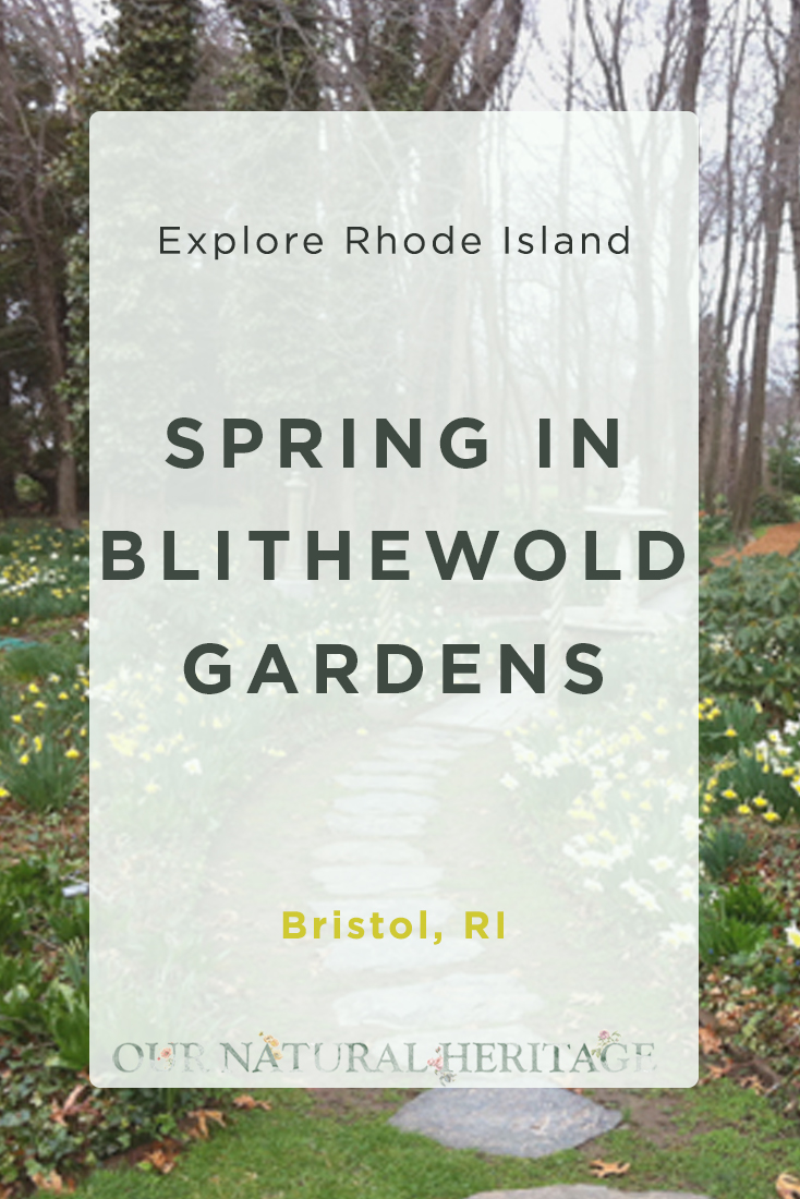 Spring in Blithewold Gardens