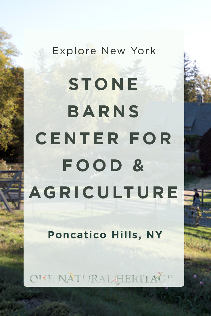 Exploring Stone Barns Center for Food and Agriculture