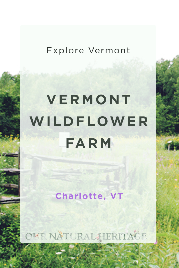A visit to the Vermont Wildflower Farm