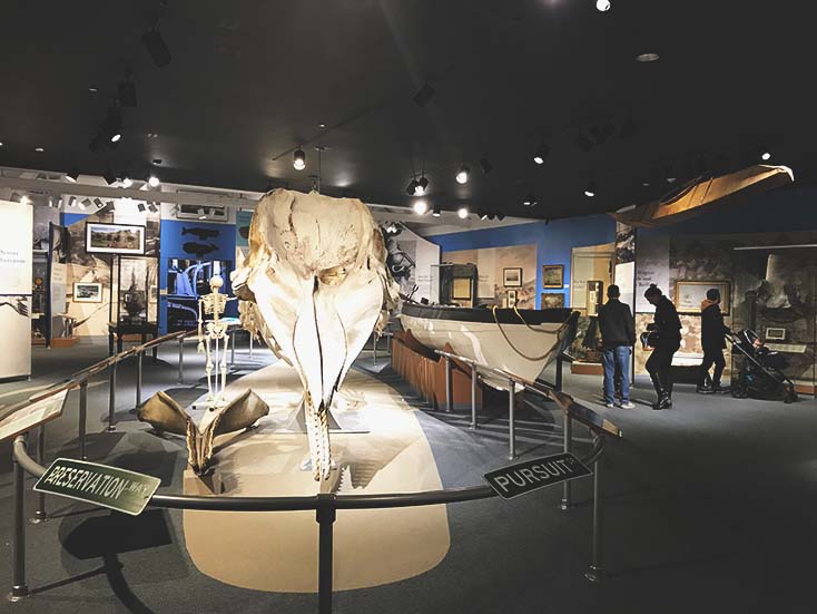 Exploring the historic culture of the whaling industry at the New Bedford Whaling Museum