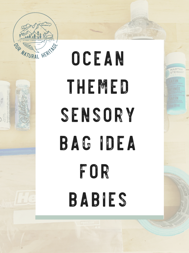 An Ocean Themed Sensory Bag Idea for Babies - Here's a great craft to bring a little bit of the outdoors inside on a cold winter's day!