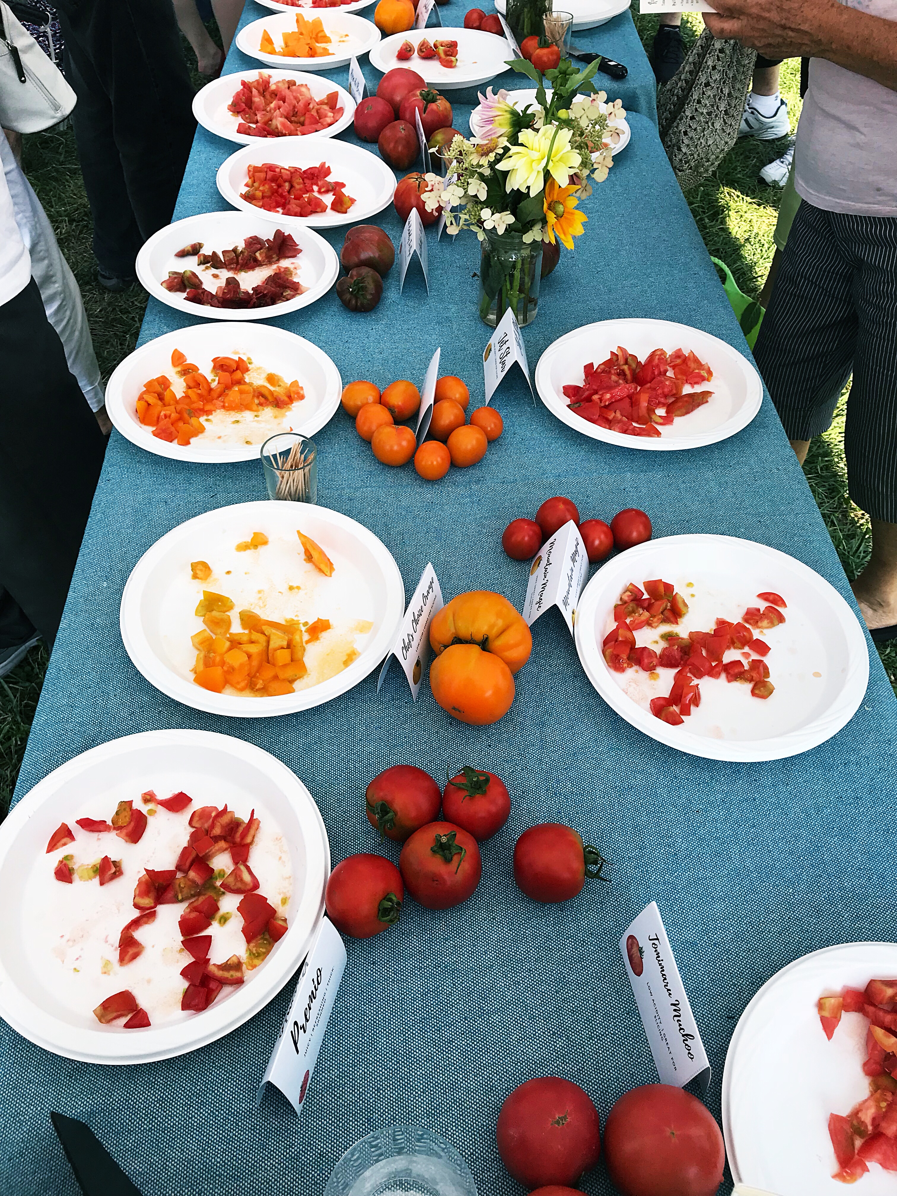 Showcase your best tasting heirloom tomatoes with a tomato tasting party! This post includes a FREE PRINTABLE Event Planning Guide, Tomato Tasting Note Cards and Tomato Labels