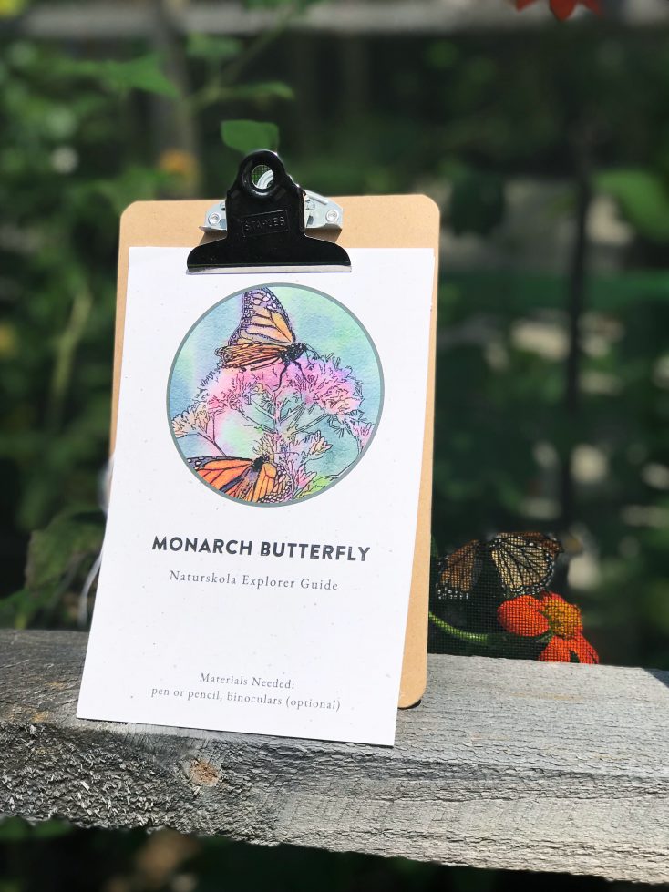FREE Montessori Homeschool Nature Inspired Lesson Plan! This Explorer Guide teaches children 4 and up about Monarch Butterfly Migration, Habitat and Life Cycle!
