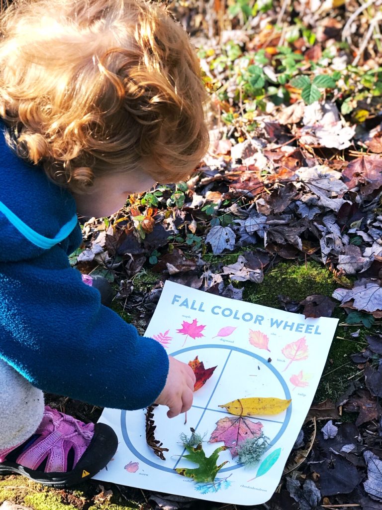 This fun FREE Fall kids activity helps toddlers learn to identify and sort colors. Includes instructions guide conversations about how and why leaves change color with older explorers. 