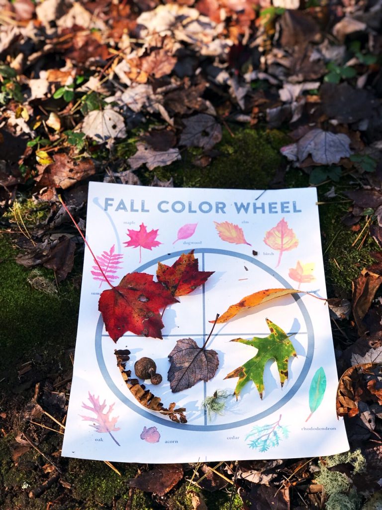 This fun FREE Fall kids activity helps toddlers learn to identify and sort colors. Includes instructions guide conversations about how and why leaves change color with older explorers. 